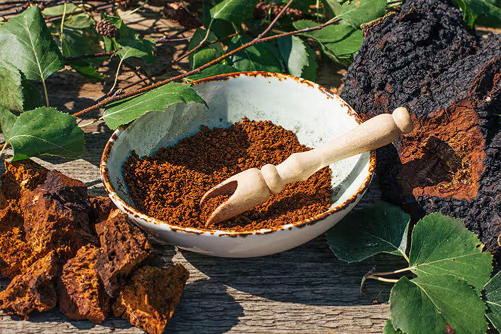 Chaga