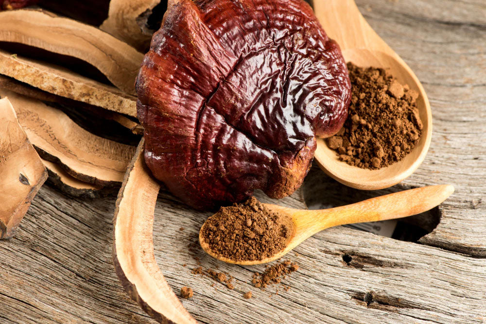 Reishi