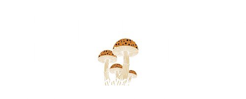 iFungi