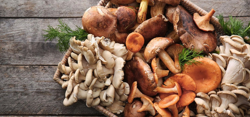 Boost Brain Power Naturally