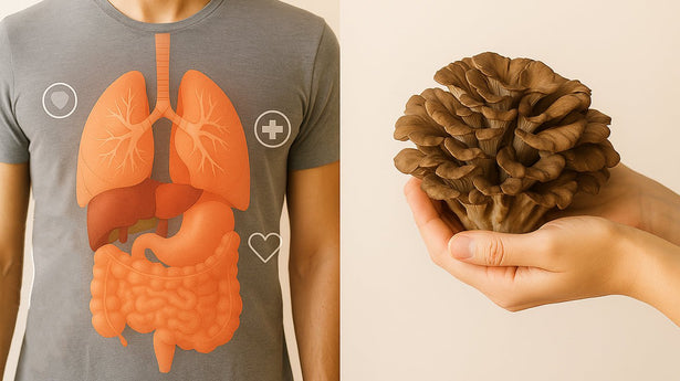 Maitake Mushroom: The Dancing Mushroom