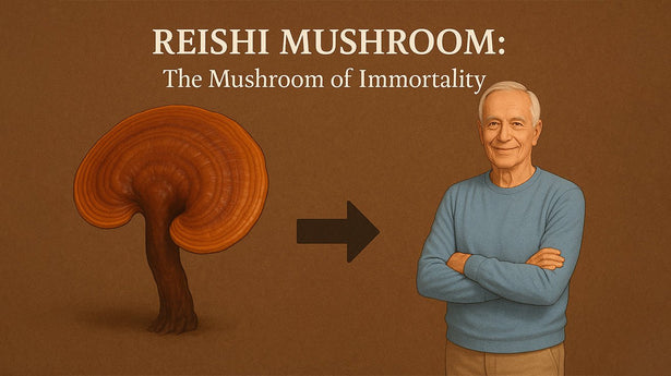 Reishi Mushroom: The Mushroom of Immortality