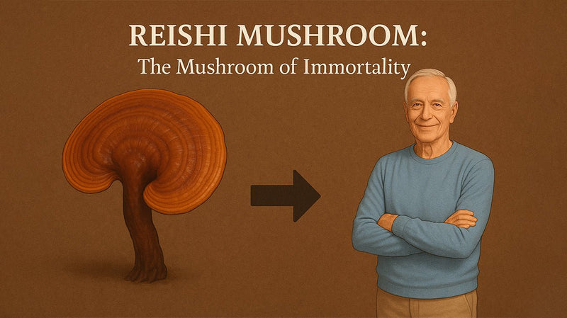 Reishi Mushroom: The Mushroom of Immortality