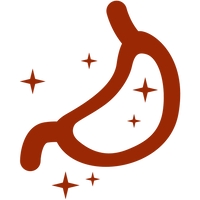 Gut & Microbiome Support