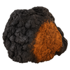 Chaga