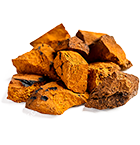 Chaga