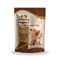 1 Bag