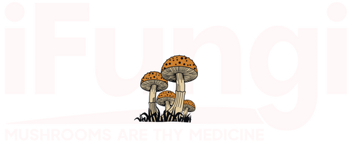 iFungi