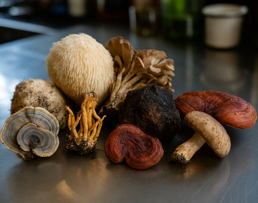 Grounded in Mushroom Science