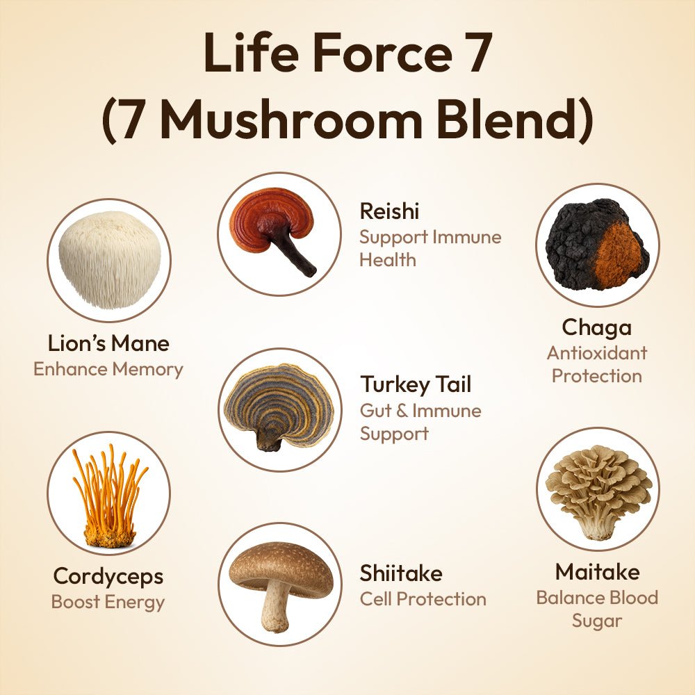 iFungi Life Force 7 mushroom powder extract blend 